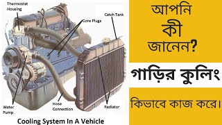 কিভাবে ইঞ্জিন কুলিং সিস্টেম কাজ করে। How Engine Cooling Water System Works। Car Engine Cooling। [upl. by Nivalc]