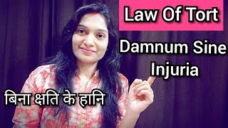 Tort Damnum sine Injuria बिना क्षति के हानि Legal Damage without Injury【Part 2】 [upl. by Ramses]