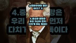 쇼펜하우어의 인생명언 BEST 5 The life of Schopenhauer proverbial best 5 명언 인간관계 철학 [upl. by Aret]