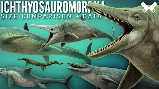 ICHTHYOSAURS and relatives  Size comparison and data [upl. by Gottuard691]