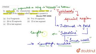 In earthworm the characteristic internal median fold of dorsal wall of the intestine called [upl. by Etnovaj70]