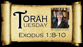 Torah Tuesday  Exodus 1810 [upl. by Lam]