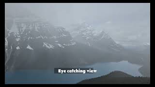 Peyto Lake in 2024 Alberta Canada  Hidden Viewpoint  Must See [upl. by Latoniah479]