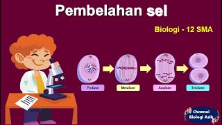 Pembelahan sel  Biologi kelas 12 SMA [upl. by Ciaphus55]