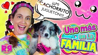 UNO MÁS en la FAMILA 🐶 TAG de la MASCOTA NUEVO MIEMBRO revoltoso 🐕 Perritos cachorros YOUTUBERS [upl. by Ramon324]