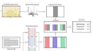 21 Oliver Kohlbacher Qualitative proteomics  Database search PSMs [upl. by Goer]