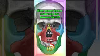 Anatomy  Skull bones healthquiz biology quiz medicine anatomy [upl. by Aehr207]