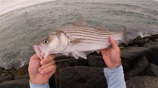 Surf Fishing JULY Spanish Mackerel Stripers Jumbo Porgy and more [upl. by Agnella]