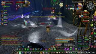 Blood Prince Council Guide Icecrown Citadel  World of Warcraft [upl. by Akenihs]