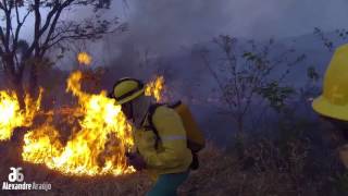 Combate a Incêndio Florestal [upl. by Christmas]