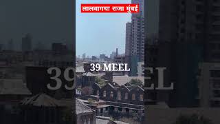 मुंबई में लालबाग का राजा इतना प्रसिद्ध क्यों  lalbaghcharaja mumbaiganpati ganpatibappamorya [upl. by Sadowski]