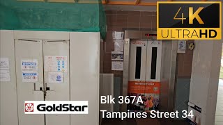 GoldStar lifts at Blk 367A Tampines Street 34 [upl. by Allenad]