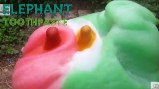 Experiment Baking Soda and Vinegar Big Elephant Toothpaste [upl. by Shaffert904]