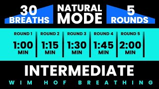 Intermediate Wim Hof Guided Breathing  5 Rounds  30 Breaths  Pure Breathwork No Frequencies [upl. by Iaras443]