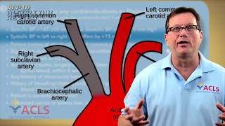 Fibrinolytic Therapy Checklist [upl. by Kawasaki509]