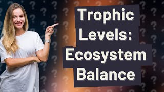 What Is a Trophic Level and Why Is It Important [upl. by Bonnibelle]