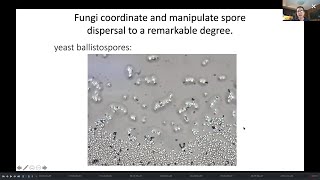 Invasive Fungi and the Physics of Spore Dispersal  Anne Pringle MAWDC 6121 [upl. by Adnav252]