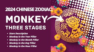 2024 CHINESE ZODIAC  MONKEY SUB [upl. by Isolde424]