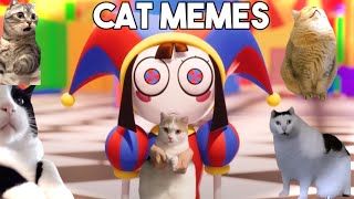 THE AMAZING DIGITAL CIRCUSCat Memes [upl. by Kyne563]