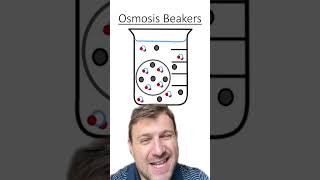 Osmosis Beaker Quiz [upl. by Emmit]