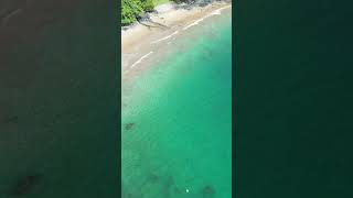 Uma das Praias mais Lindas de Ilhabela viagem music Ilhabela [upl. by Nnuahs809]