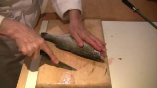 How to scale gut and fillet a fish [upl. by Yelkao565]