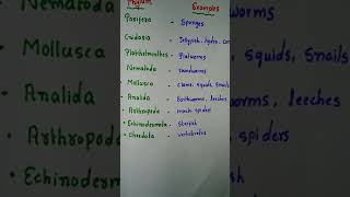 Animal kingdom classification NEET biology CTET science Basics  easy hintsHappy learning [upl. by Methuselah]