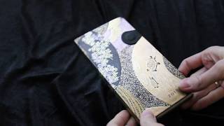 Блокнот Paperblanks формата Slim на магнитной застежке [upl. by Kcirderfla]