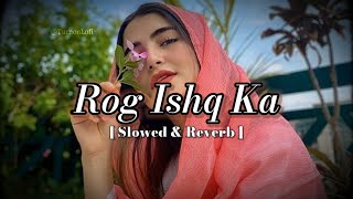 Rog ishq ka yaar kasuta  Slowed amp Reverb  Haryanvi Song  Raj Mawar  Ishq haryanvi song LoFi [upl. by Ashjian]