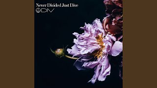 Never Divided Just Dive [upl. by Gloriana]