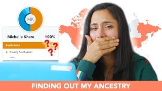 I Took A DNA Ancestry Test [upl. by Enwahs]