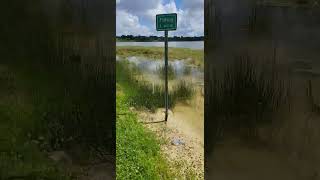 starke lake in ocoee florida [upl. by Dorelia580]