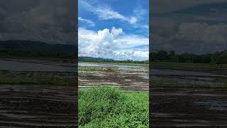 Bukid buhayprobinsya nature shortvideo short likeandsubscribe [upl. by Attenwad582]