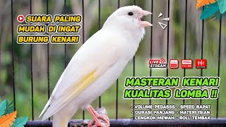 Kenari GACOR‼️ Masteran Burung Kenari PAUD dan Pancingan Kenari MACET BUNYI EPISODE 1566 [upl. by Treborsemaj639]