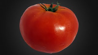 Tomato Time Lapse 4K  Eaten by Maggots [upl. by Ihcekn]