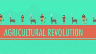 The Agricultural Revolution Crash Course World History 1 [upl. by Halilad951]