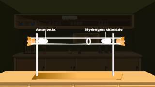 Diffusion in gases [upl. by Aicener]