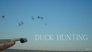 Duck hunting Texas public land mad island WMA [upl. by Yrehcaz720]