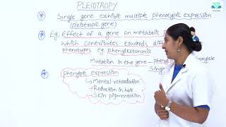 BIOLOGY 5 8 5 Pleiotropy 1 [upl. by Oinotnaesoj]