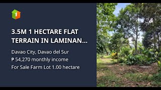 35M 1 HECTARE FLAT TERRAIN IN LAMINAN CALINAN [upl. by Nodla298]