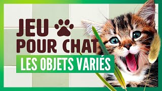 Plusieurs jeux pour chat sur écran  Objets de tous les jours  Simple mais super efficace [upl. by Raamaj532]