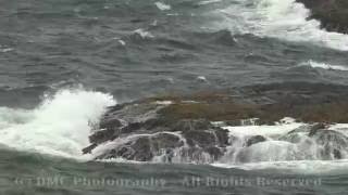 Tofino Storm in 4K [upl. by Holleran]