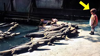 The 5 Years Old Baby Was Left With 12 Crocodiles But What They Did Was Amazing [upl. by Assenay]