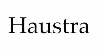 How to Pronounce Haustra [upl. by Jerrome818]