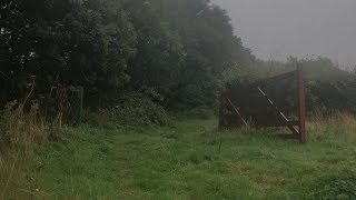 Rainy Day in the English Countryside  Rain Sounds amp Distant Thunder for Reading Study or Sleep [upl. by Sofko907]