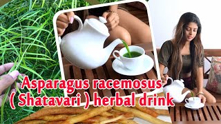 Asparagus racemosus  Shatavari  Leaves amp Roots Herbal Drink Ceylon Ayurvedic Herb [upl. by Xuagram]