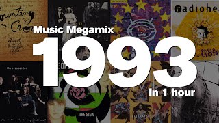 1993 in 1 Hour  Top hits including Counting Crows Duran Duran U2 The Cranberries and many more [upl. by Naillimixam]