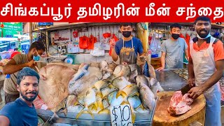 சிங்கப்பூர் தமிழரின் மீன் சந்தை  Singapore Tekka Market  Jaffna Suthan [upl. by Ogram872]