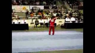 武术 Wushu Changquan [upl. by Ander]