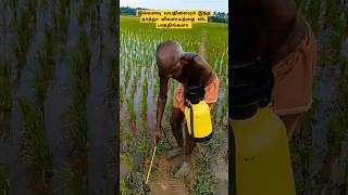 உங்க தாத்தாவுக்கு லைக் பண்ணுங்க உறவுகளே tamil song villagelife youtubeshorts [upl. by Orvan165]